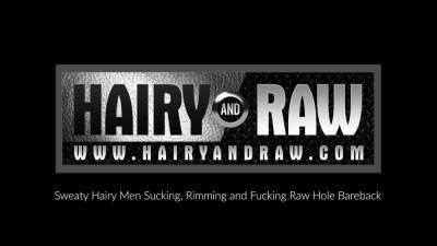 HAIRYANDRAW Amir Badri And Tristan Riant Suck Dick In Group - icpvid.com