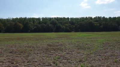 Dirty Dp & Threesome With Stranger At Cornfield! (Ger) - hclips.com